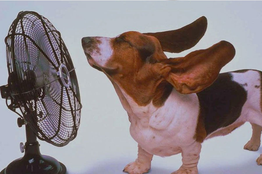 Get Your Air Conditioner Ready For Summer